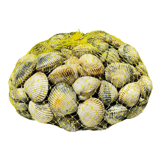 Berberechos frescos de Galicia, marisco pequeño y sabroso.