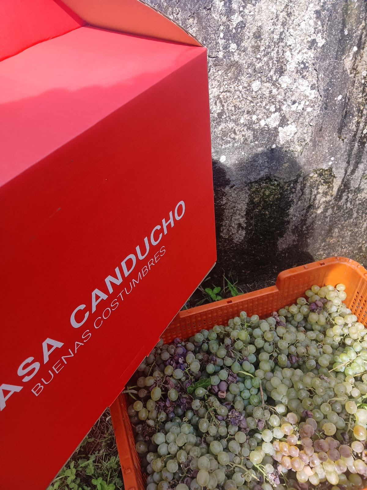 lote-gourmet-gallego-casa-canducho-navidad-2025