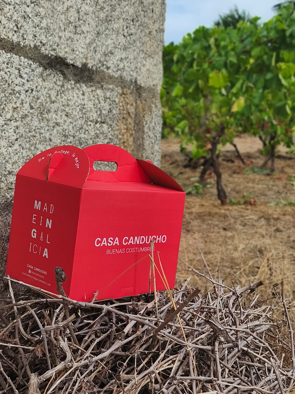 lote-gourmet-gallego-casa-canducho-navidad-2025