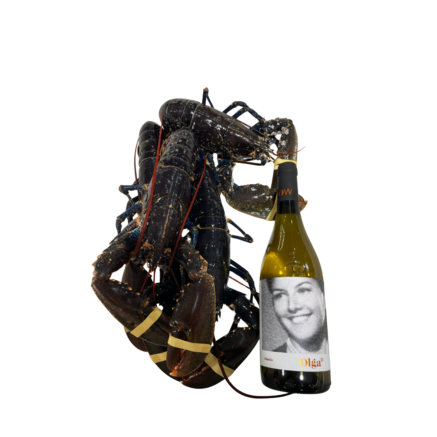 Bogavante gallego de la Lonja de O Grove acompañado de vino Albariño Olga – marisco gallego fresco de Casa Canducho